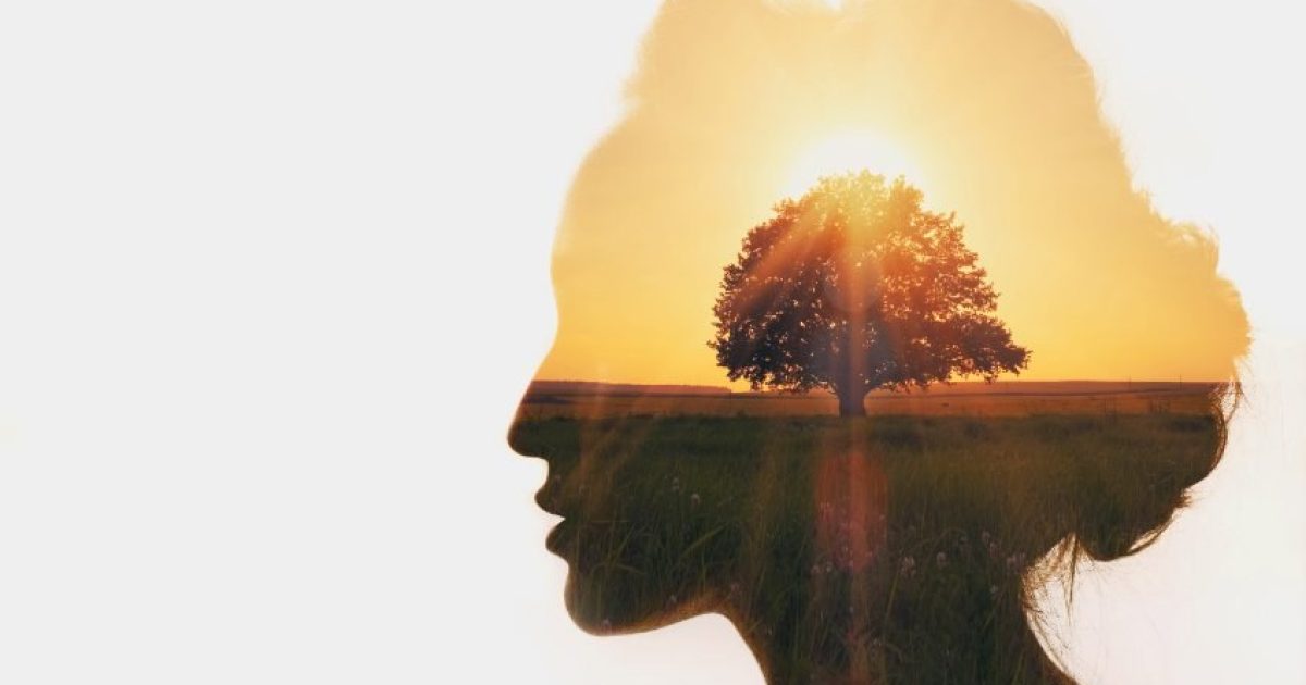 Trauma-the-Recovery-Healing-and-Personal-Growth-Journey